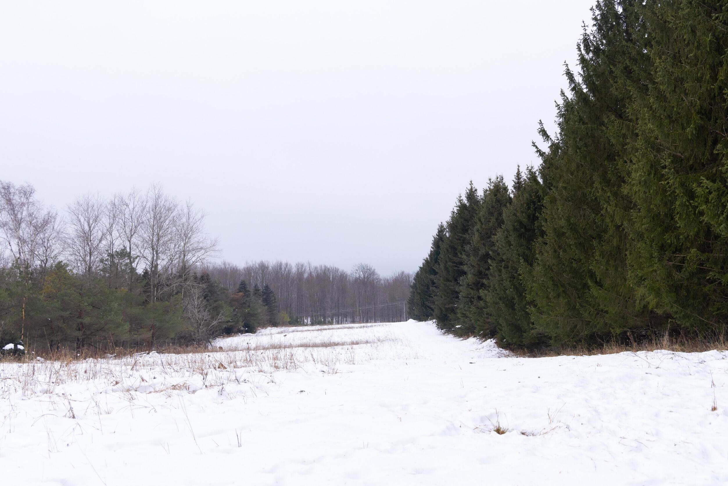 13402 15 Mile Road Leroy, MI 49655 - Photo 49 of 68 45