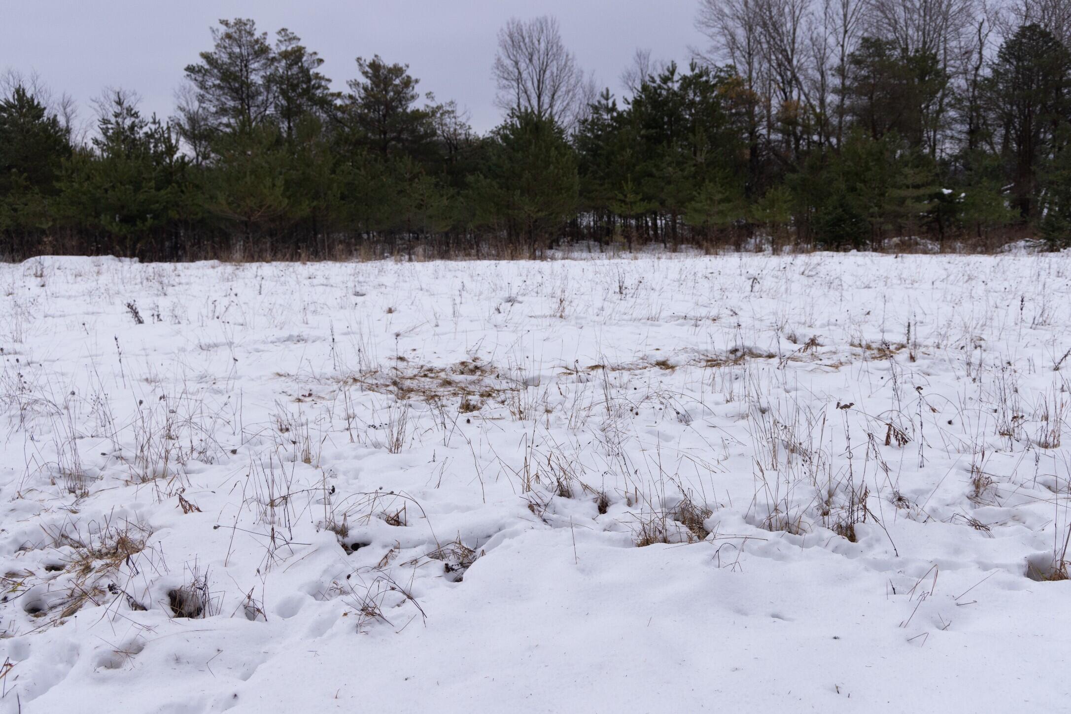 13402 15 Mile Road Leroy, MI 49655 - Photo 51 of 68 47