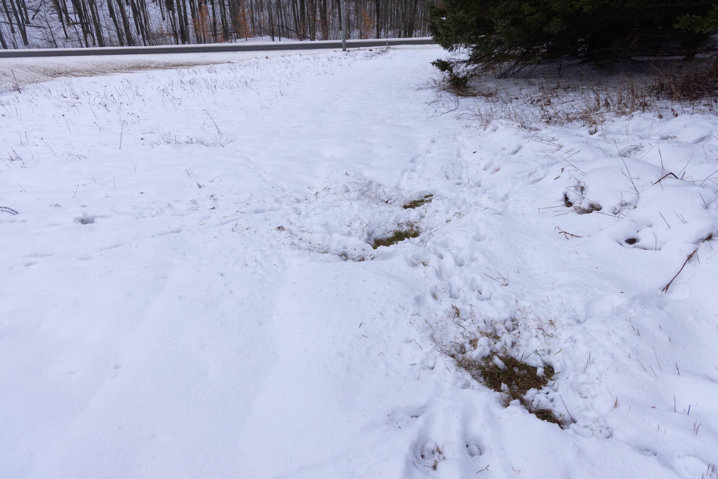 13402 15 Mile Road Leroy, MI 49655 - Photo 53 of 68 49