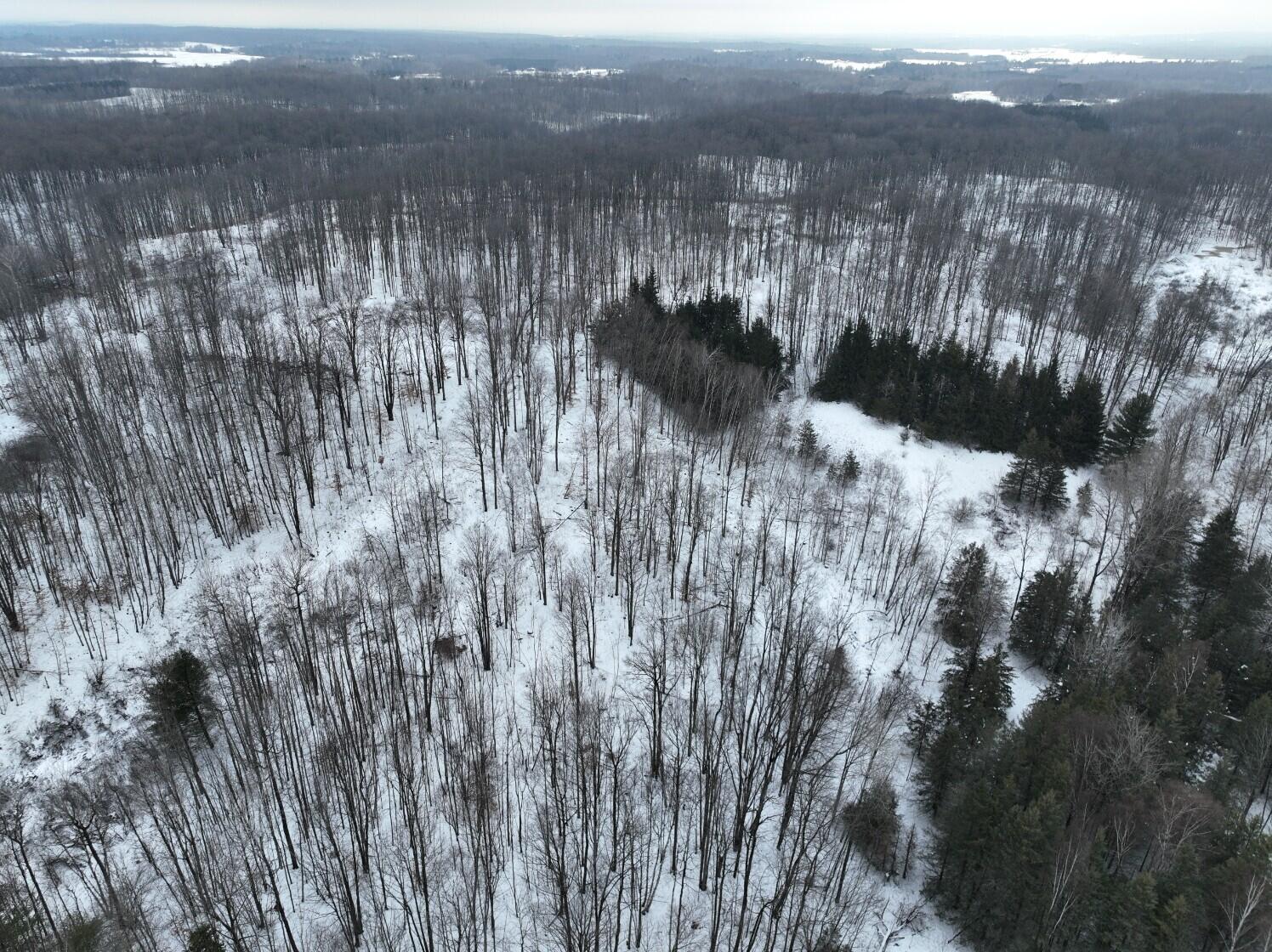 13402 15 Mile Road Leroy, MI 49655 - Photo 56 of 68 52
