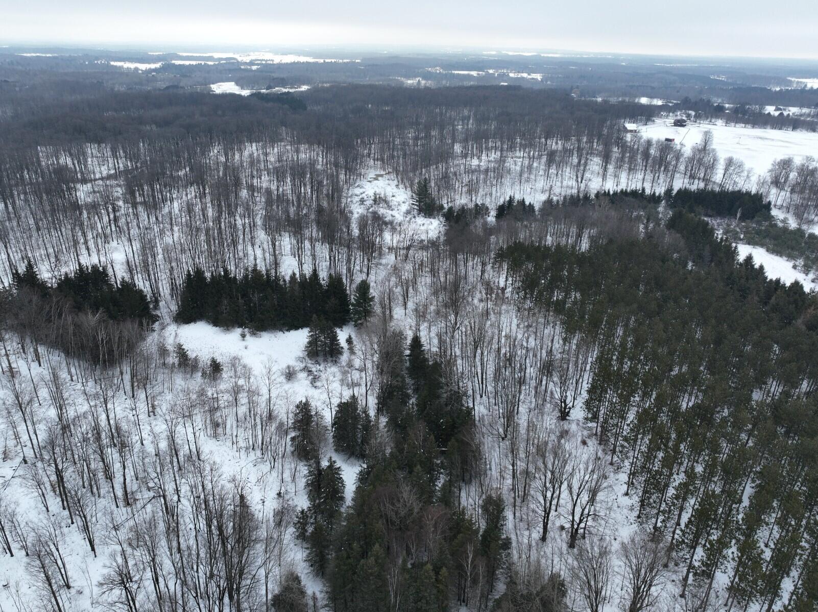13402 15 Mile Road Leroy, MI 49655 - Photo 58 of 68 54