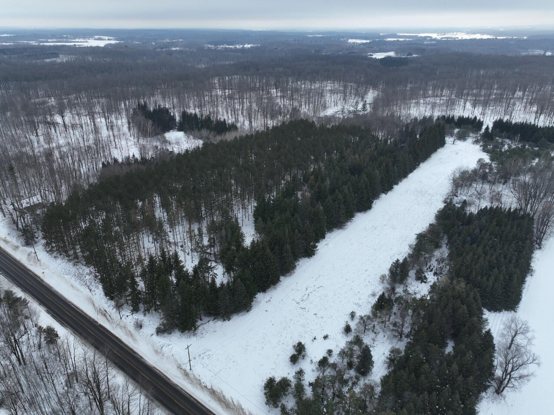 13402 15 Mile Road Leroy, MI 49655 - Photo 59 of 68 55