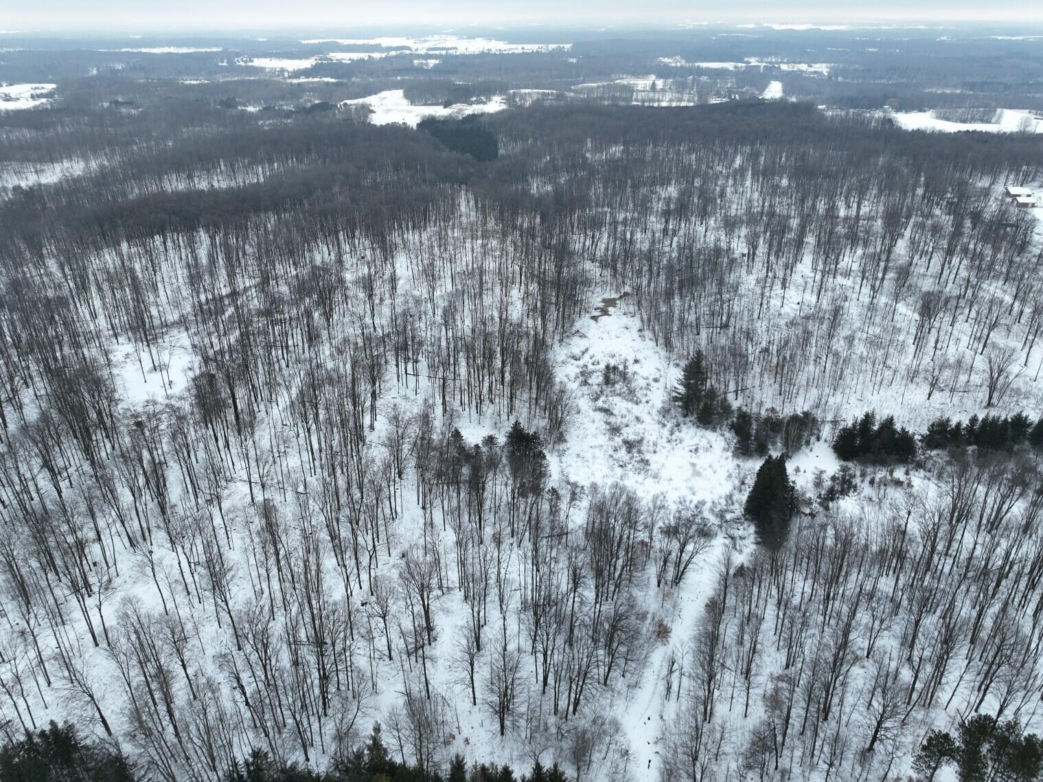 13402 15 Mile Road Leroy, MI 49655 - Photo 61 of 68 57