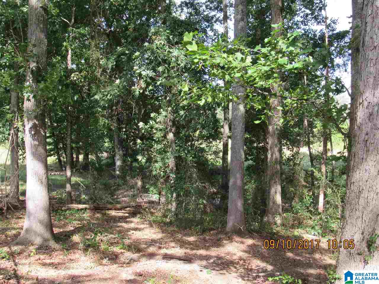 36 County Road 763 Clanton, AL 35046 - Photo 17 of 50