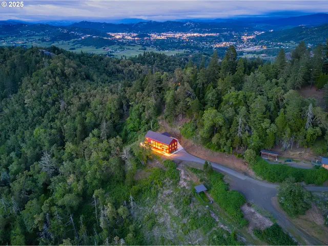 an aerial view of a houses with a lush green hillside