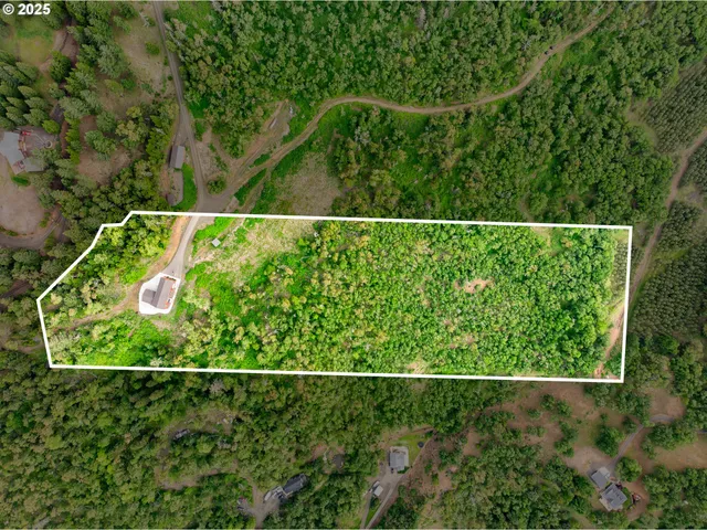 a view of outdoor space yard and patio