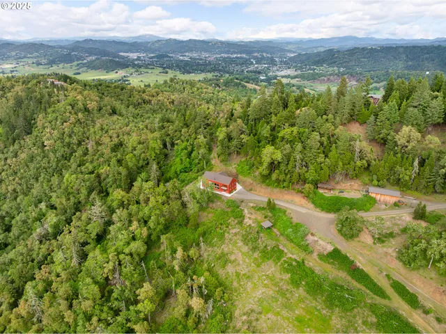 an aerial view of a garden and trees