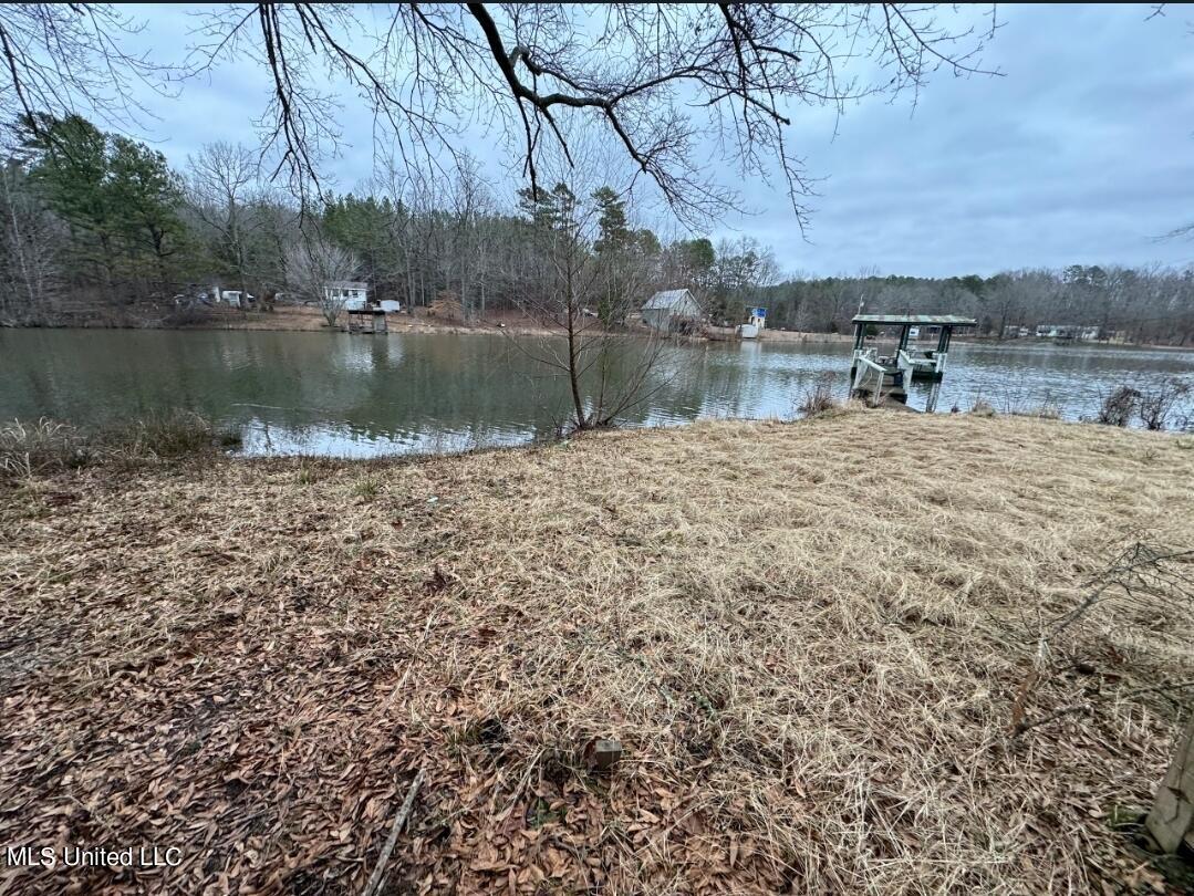 20 County Road 454 Ripley, MS 38663 - Photo 4 of 9 tempFileForShare_20240223-132320