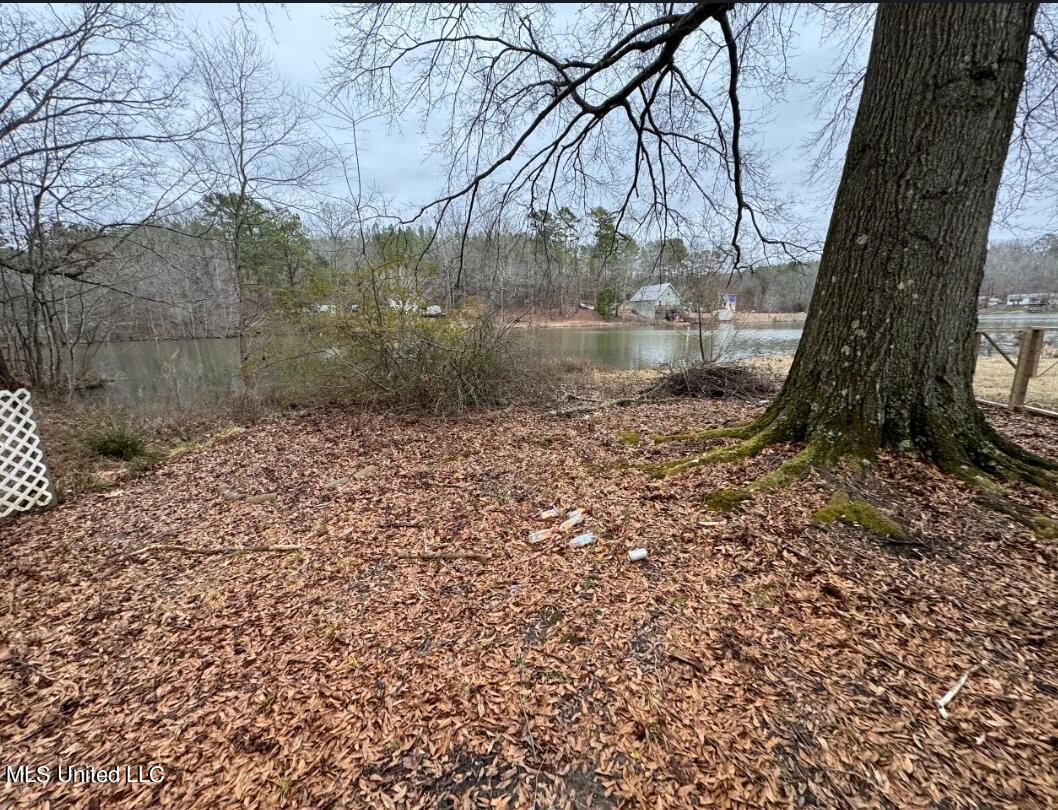 20 County Road 454 Ripley, MS 38663 - Photo 7 of 9 tempFileForShare_20240223-132241