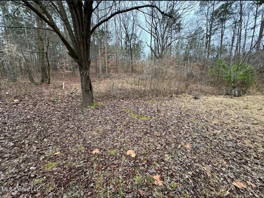 20 County Road 454 Ripley, MS 38663 - Photo 9 of 9 tempFileForShare_20240223-132131