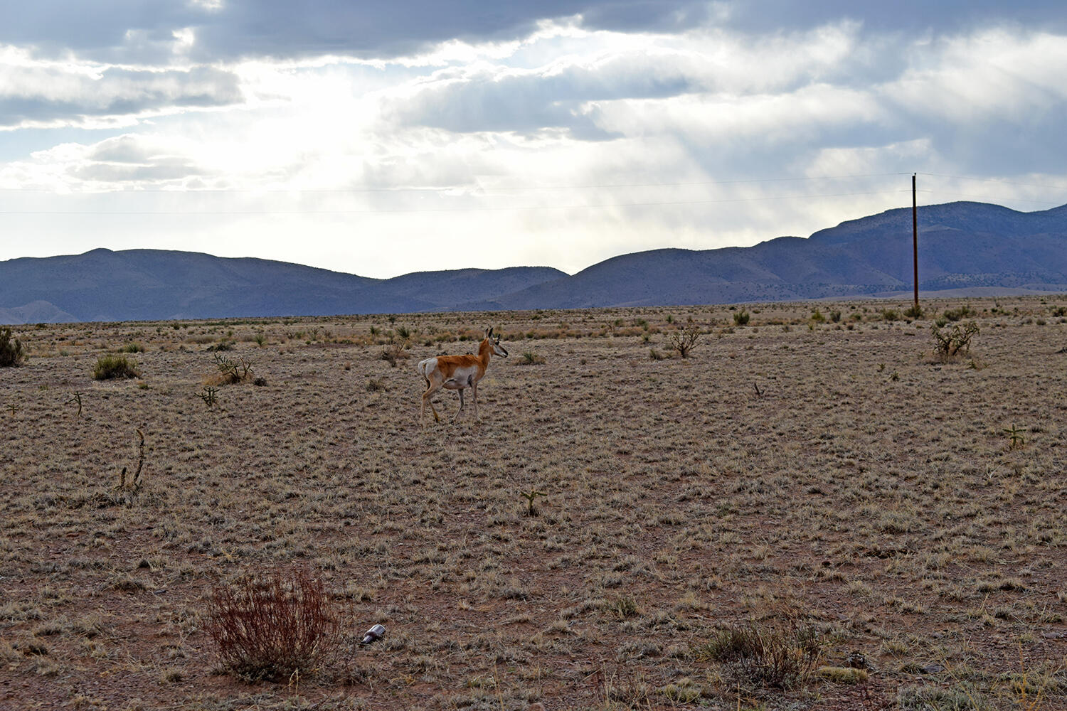 Lot 3-69 High Chapparal Road Socorro, NM 87801 - Photo 28 of 29 Gallery Image 28