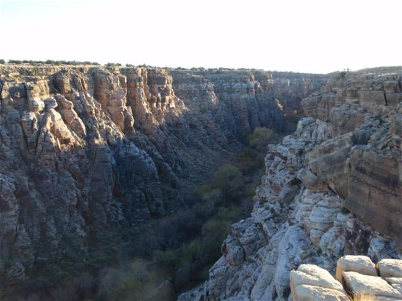 1 T16n R16e: Heber, AZ 85928 - Photo 1 of 1