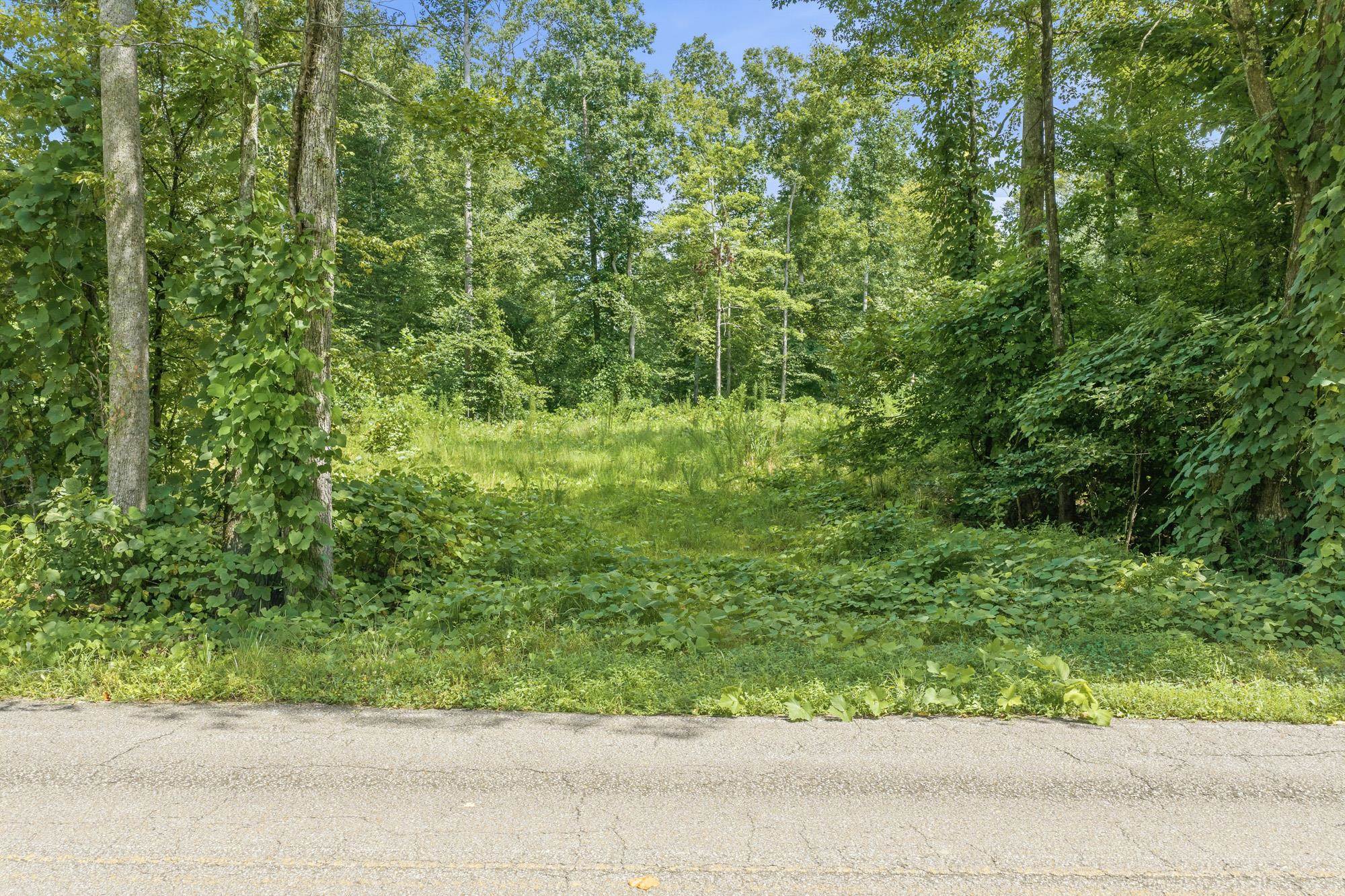 0 Holladay Road Holladay, TN 38341 - Photo 8 of 25 Gallery Image 8