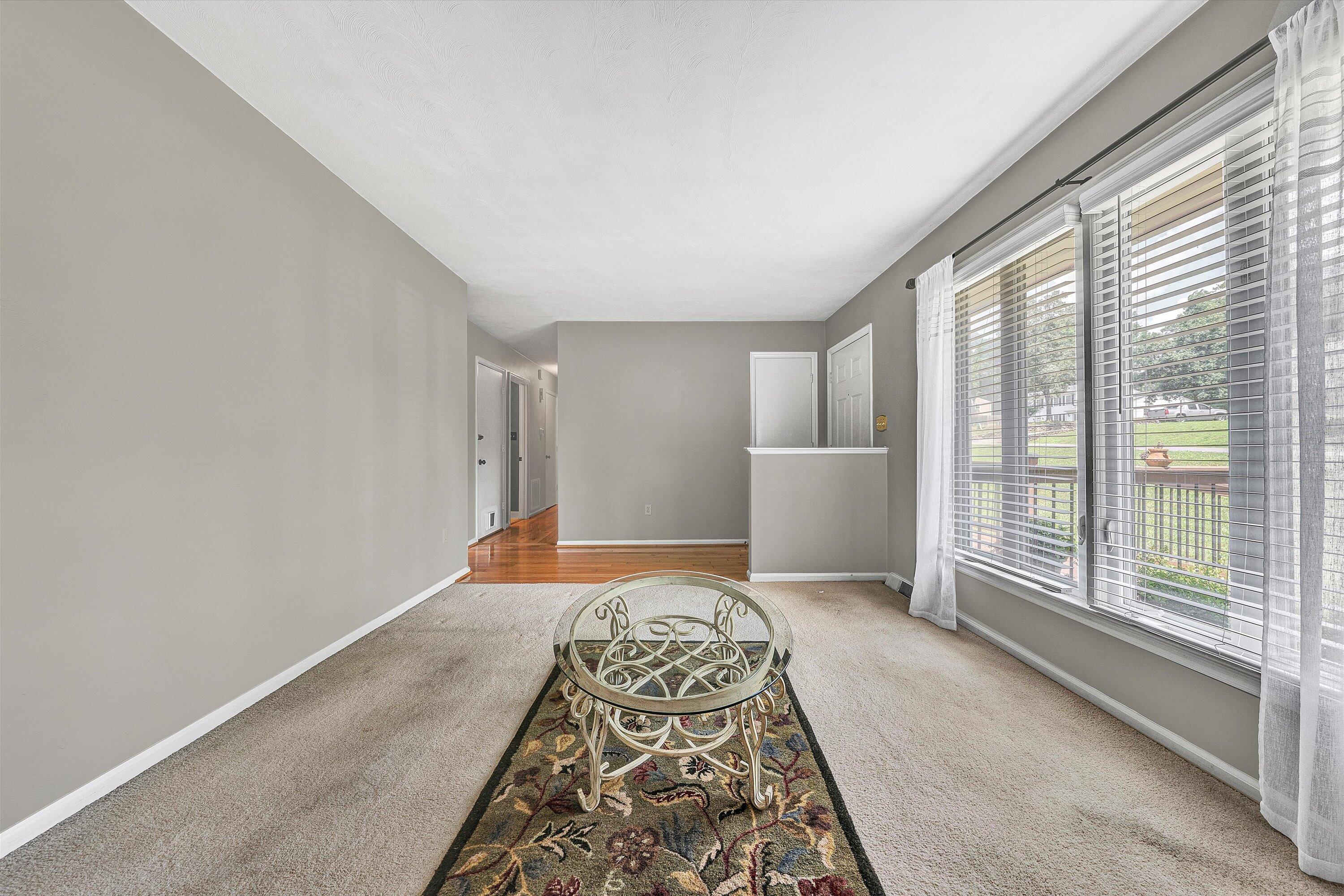 199 Stratford Drive Blue Ridge, VA 24064 - Photo 8 of 46 08-DSC07644