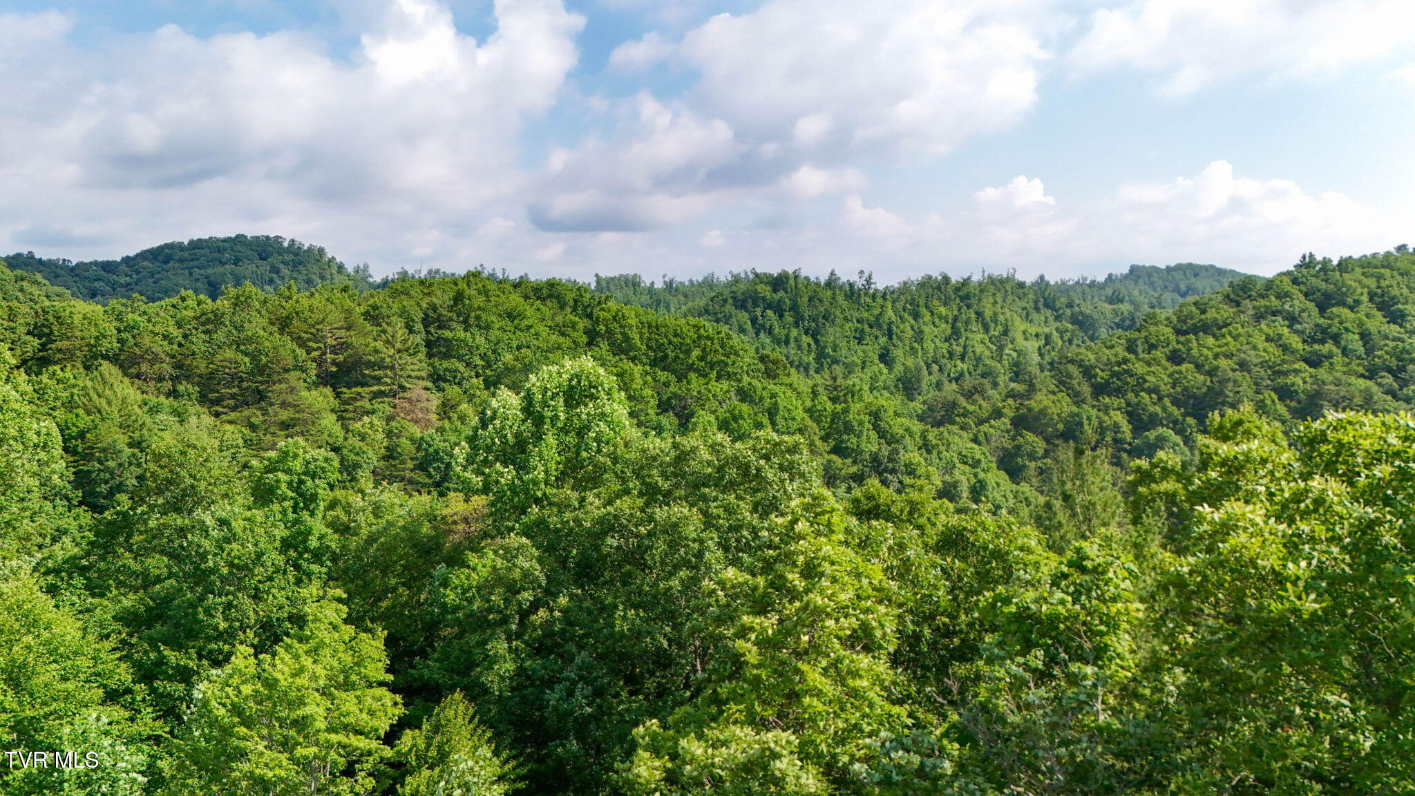 2523 Denton Valley Road, Unit 2 Bristol, TN 37620 - Photo 36 of 44 36