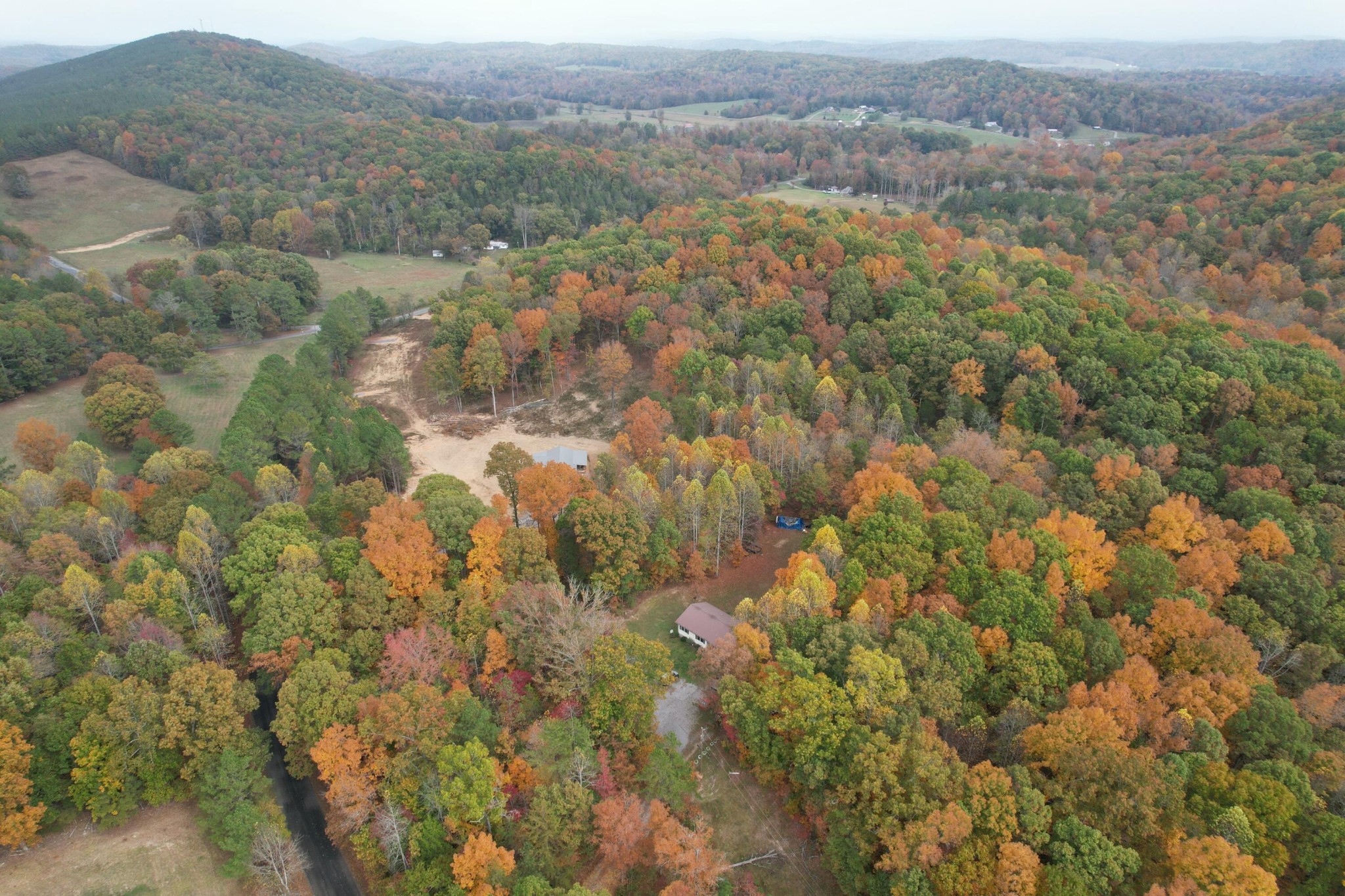 0 County Road 181 Decatur, TN 37322 - Photo 4 of 16 an aerial view of forest