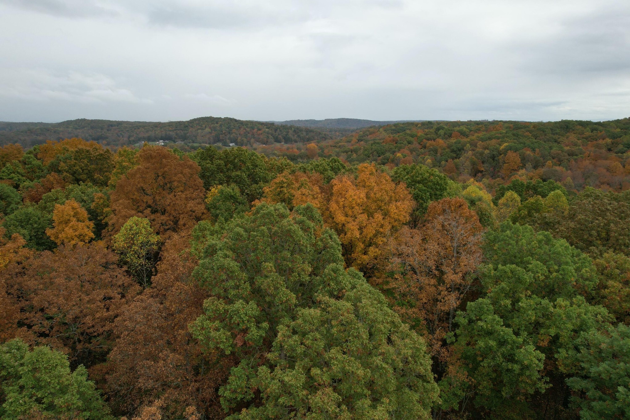 0 County Road 181 Decatur, TN 37322 - Photo 7 of 16 an aerial view of houses covered in trees