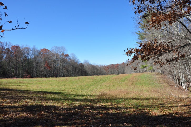500 Julia Road Renick, WV 24966 - Photo 10 of 20 This 12 acre field would be suitable for producing hay, corn or maybe a nice berry or fruit orchard.