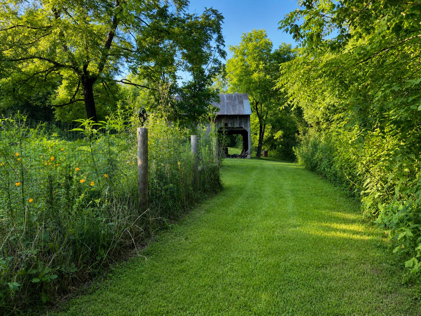 1281 Sharp Road Stamping Ground, KY 40379 - Photo 73 of 102 barn path