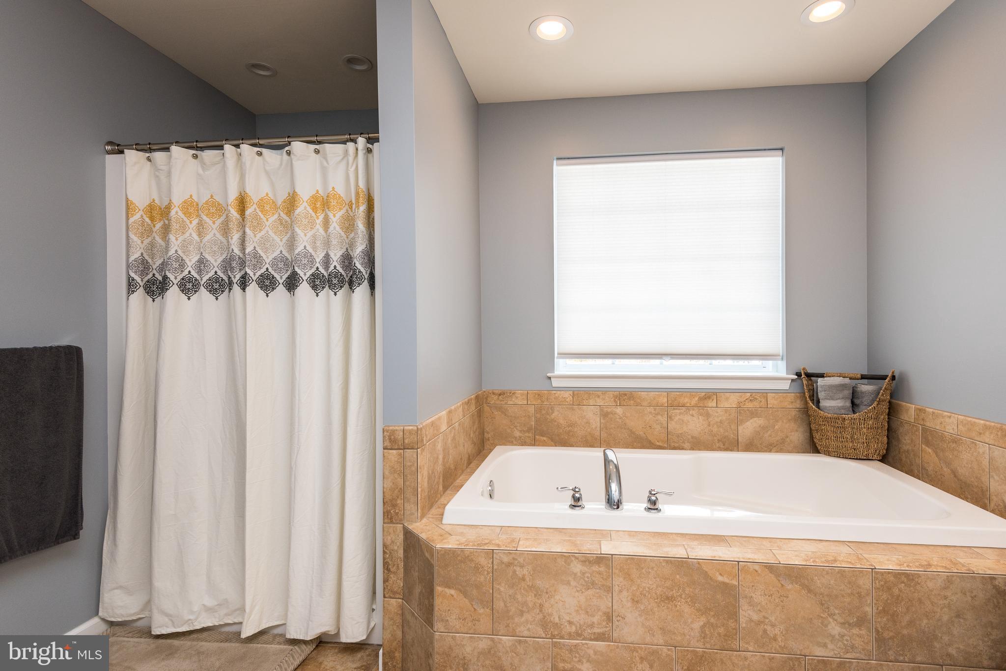 3113 Finland Road Pennsburg, PA 18073 - Photo 41 of 50 Primary Shower