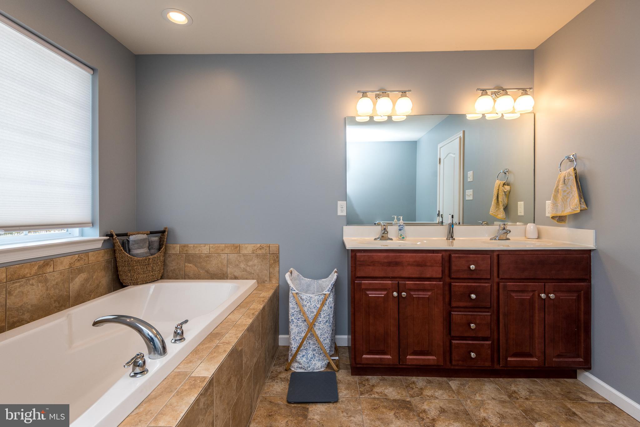 3113 Finland Road Pennsburg, PA 18073 - Photo 42 of 50 Primary Tub & Vanity