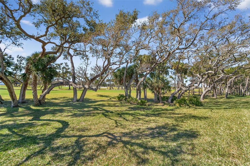 2155 Harbourside Drive, Unit 804 Longboat Key, FL 34228 - Photo 53 of 77