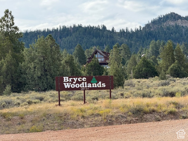Exterior view of a forest and a mountain backdrop