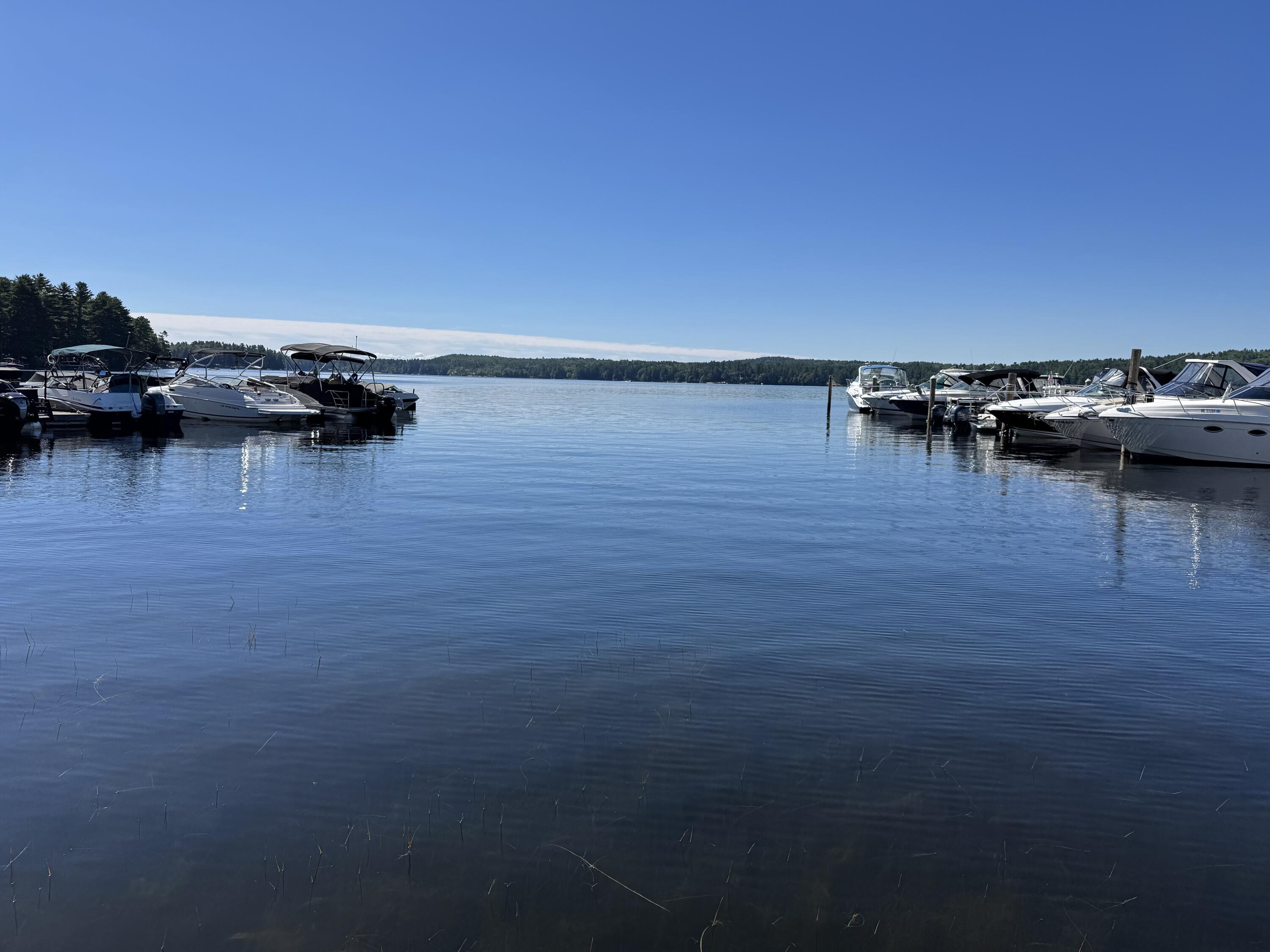 589 Roosevelt Trail Naples, ME 04055 - Photo 3 of 37 View of Brandy pond from Association ROW