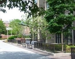 1731 Beacon Street, Unit 1502 Brookline, MA 02445 - Photo 2 of 27 a view of backyard with outdoor seating and plants