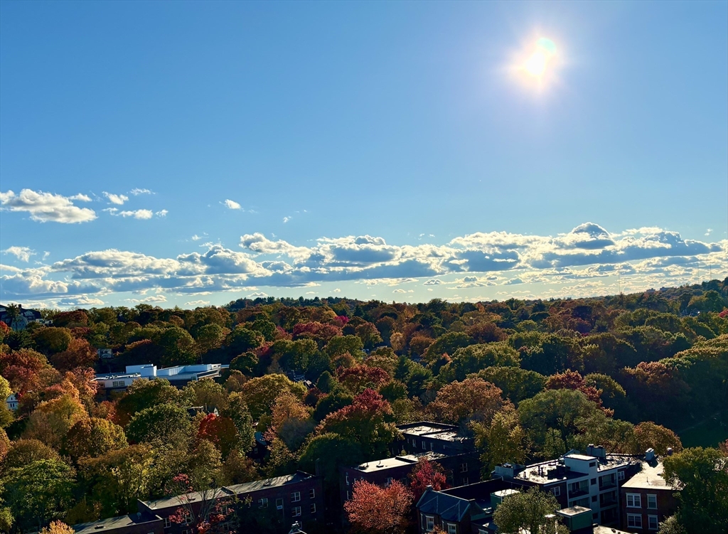 1731 Beacon Street, Unit 1502 Brookline, MA 02445 - Photo 23 of 27 a view of a city