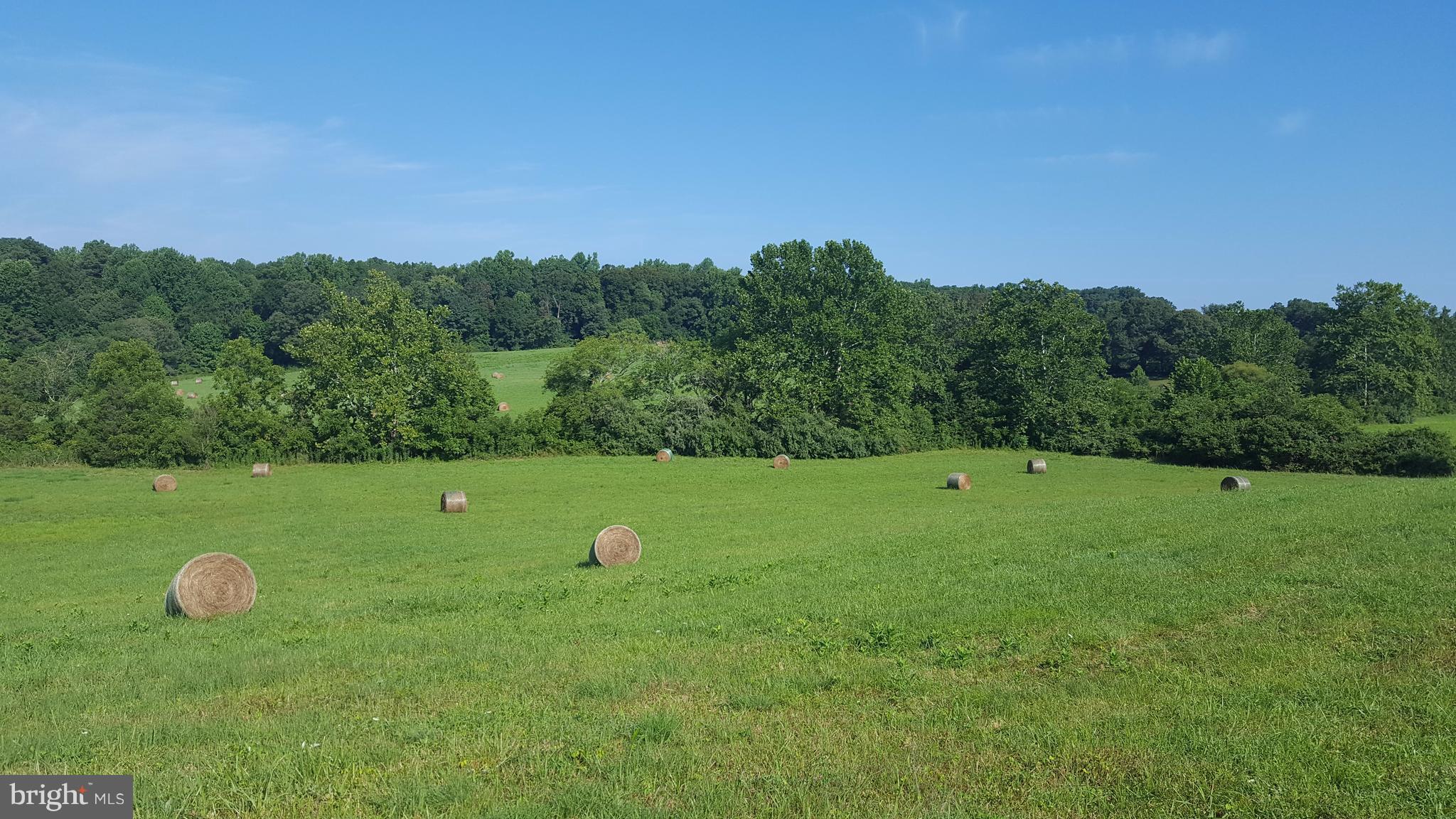 Ellett Lane Rixeyville, VA 22737 - Photo 1 of 16 View