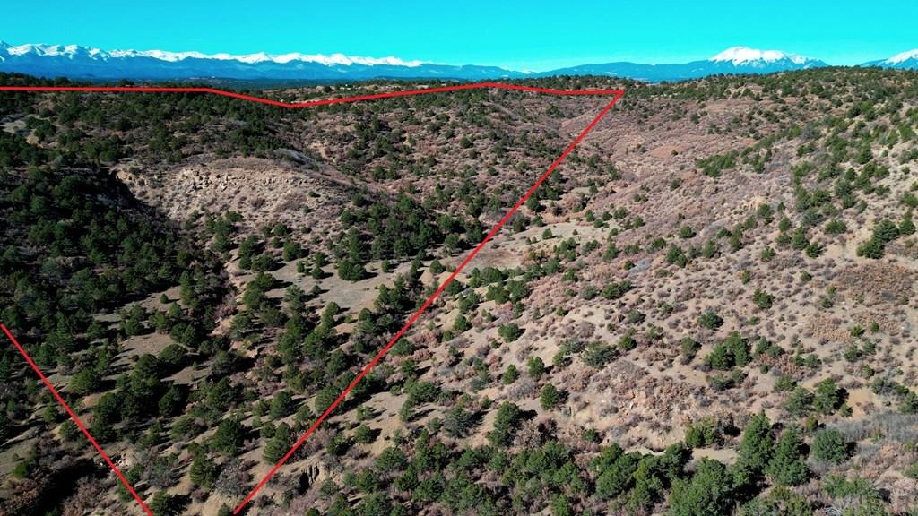 11298 Primero Ranch Road Trinidad, CO 81082 - Photo 18 of 36 a view of a dry yard with lots of trees