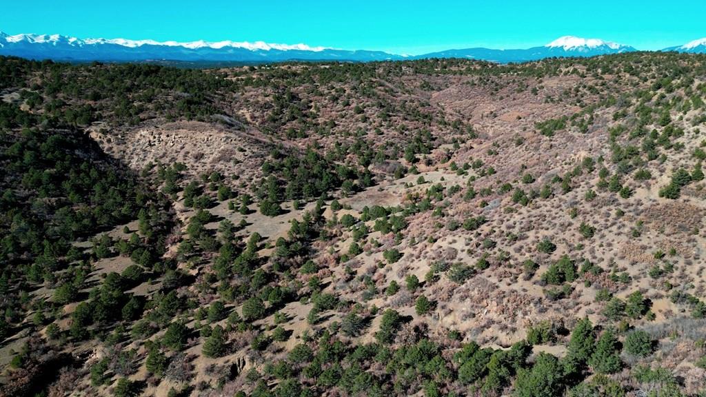 11298 Primero Ranch Road Trinidad, CO 81082 - Photo 22 of 36