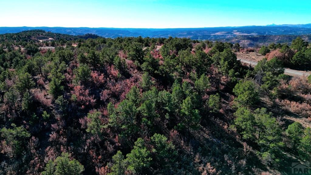 11298 Primero Ranch Road Trinidad, CO 81082 - Photo 25 of 36 an aerial view of a houses with a lush green hillside