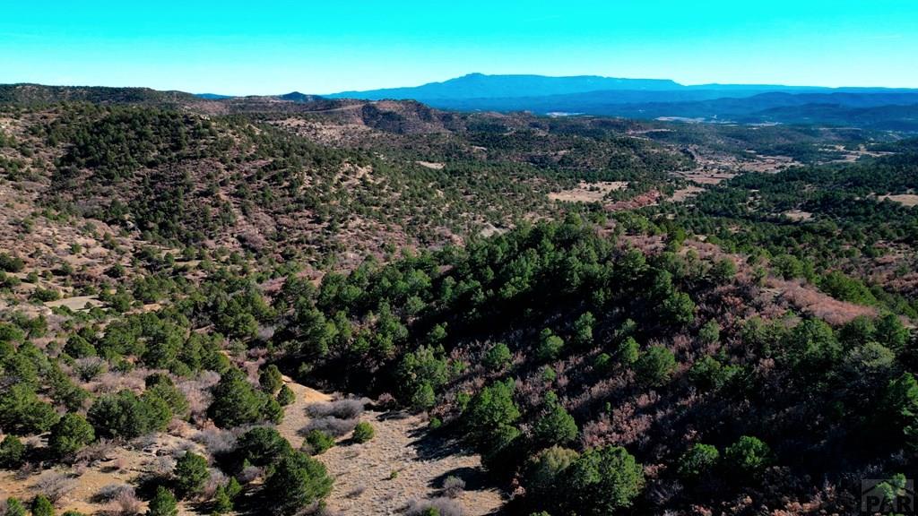 11298 Primero Ranch Road Trinidad, CO 81082 - Photo 36 of 36 a view of a city with lush green forest