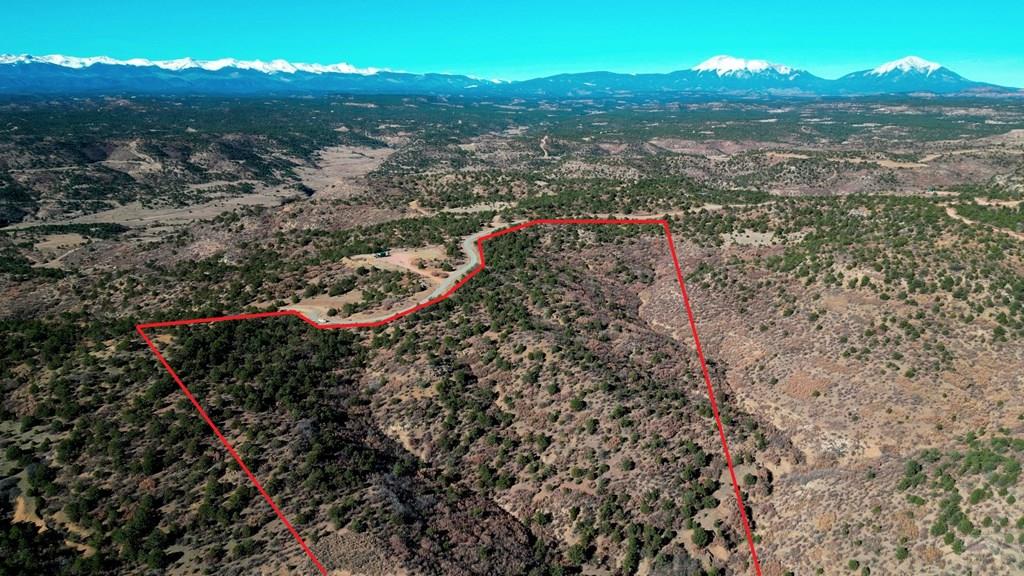 11298 Primero Ranch Road Trinidad, CO 81082 - Photo 5 of 36 a view of a forest with a mountain
