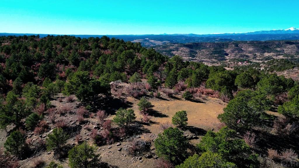 11298 Primero Ranch Road Trinidad, CO 81082 - Photo 6 of 36 a view of a bunch of trees and houses