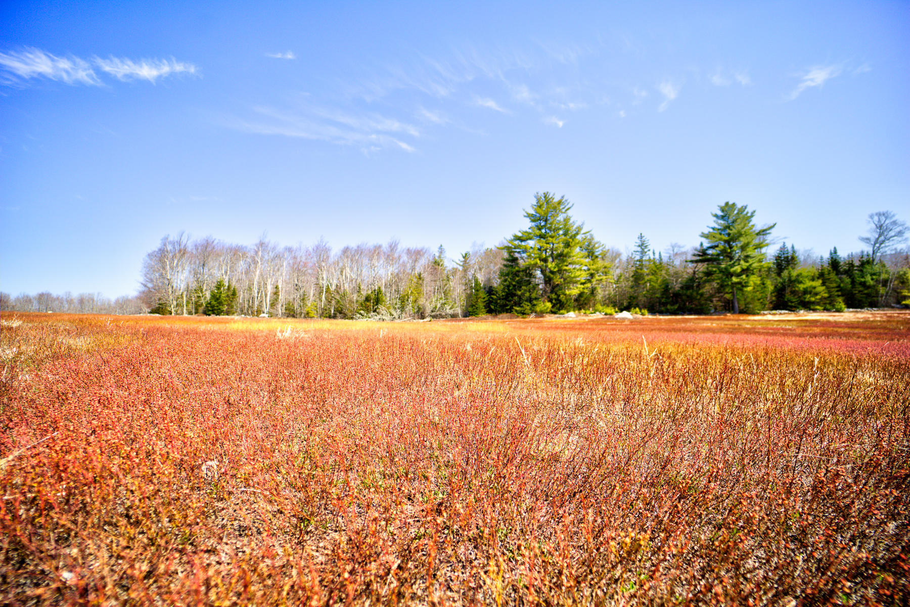Lot 27 Leach Road Penobscot, ME 04476 - Photo 3 of 16 6