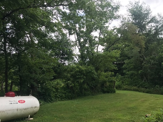1400 Popcorn Road Springville, IN 47462 - Photo 18 of 22