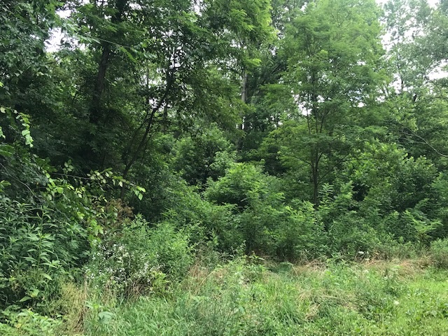 1400 Popcorn Road Springville, IN 47462 - Photo 21 of 22