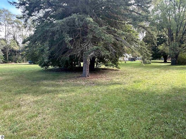 11253 Deer Lake Road Clare, MI 48617 - Photo 3 of 6