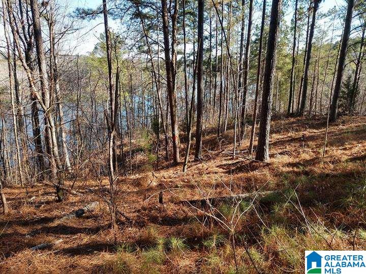 Franklin Ferry Road, Unit 17 Oakman, AL 35579 - Photo 9 of 22