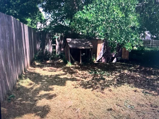 a view of a backyard with a small cabin