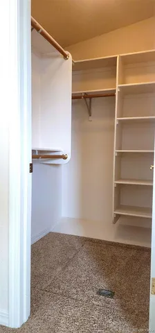 a view of walk in closet with empty racks