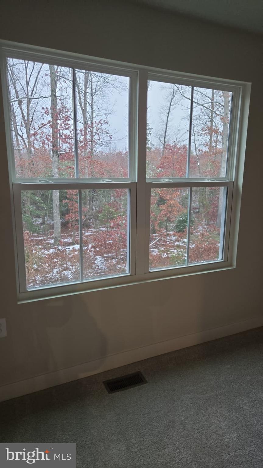 4218 Falkirk Place Fredericksburg, VA 22408 - Photo 28 of 36 a view of an empty room with a window