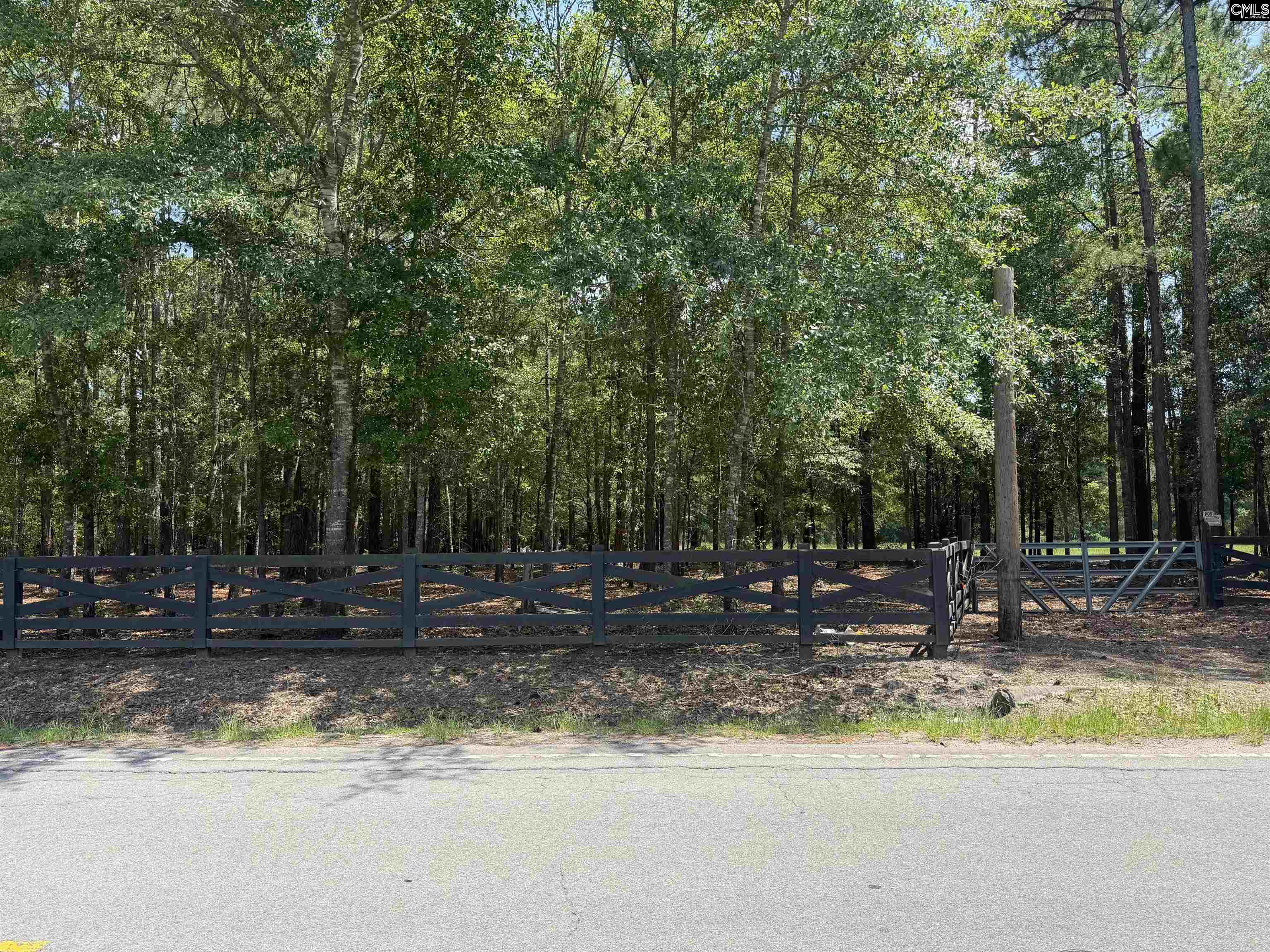 812 Sandfield Road Blythewood, SC 29016 - Photo 24 of 25