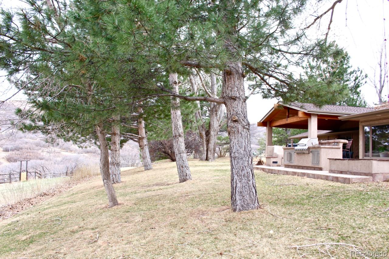 1819 Haystack Road Castle Rock, CO 80104 - Photo 26 of 35