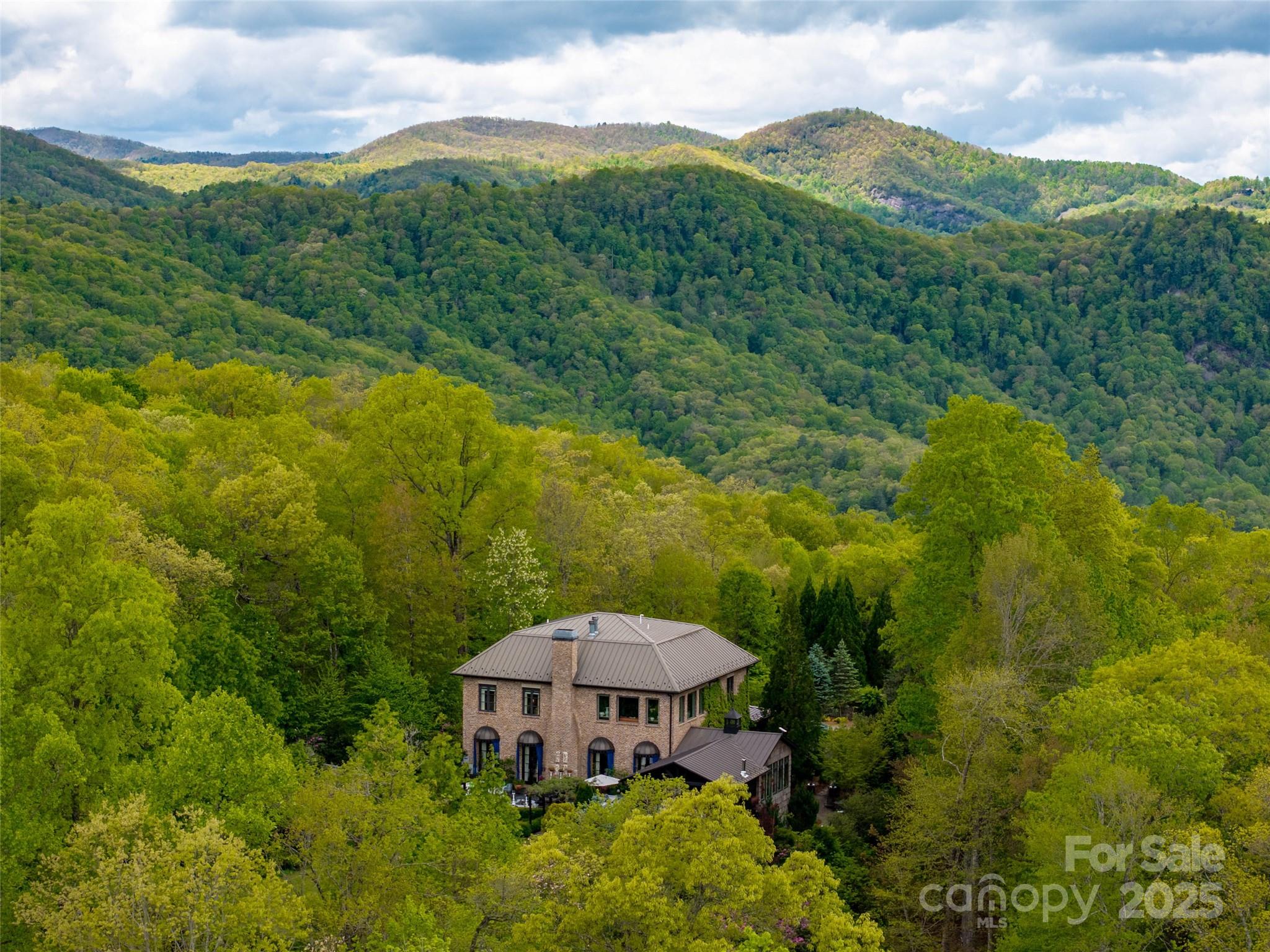13084 Canada Road Tuckasegee, NC 28783 - Photo 4 of 48 a view of a house with a yard