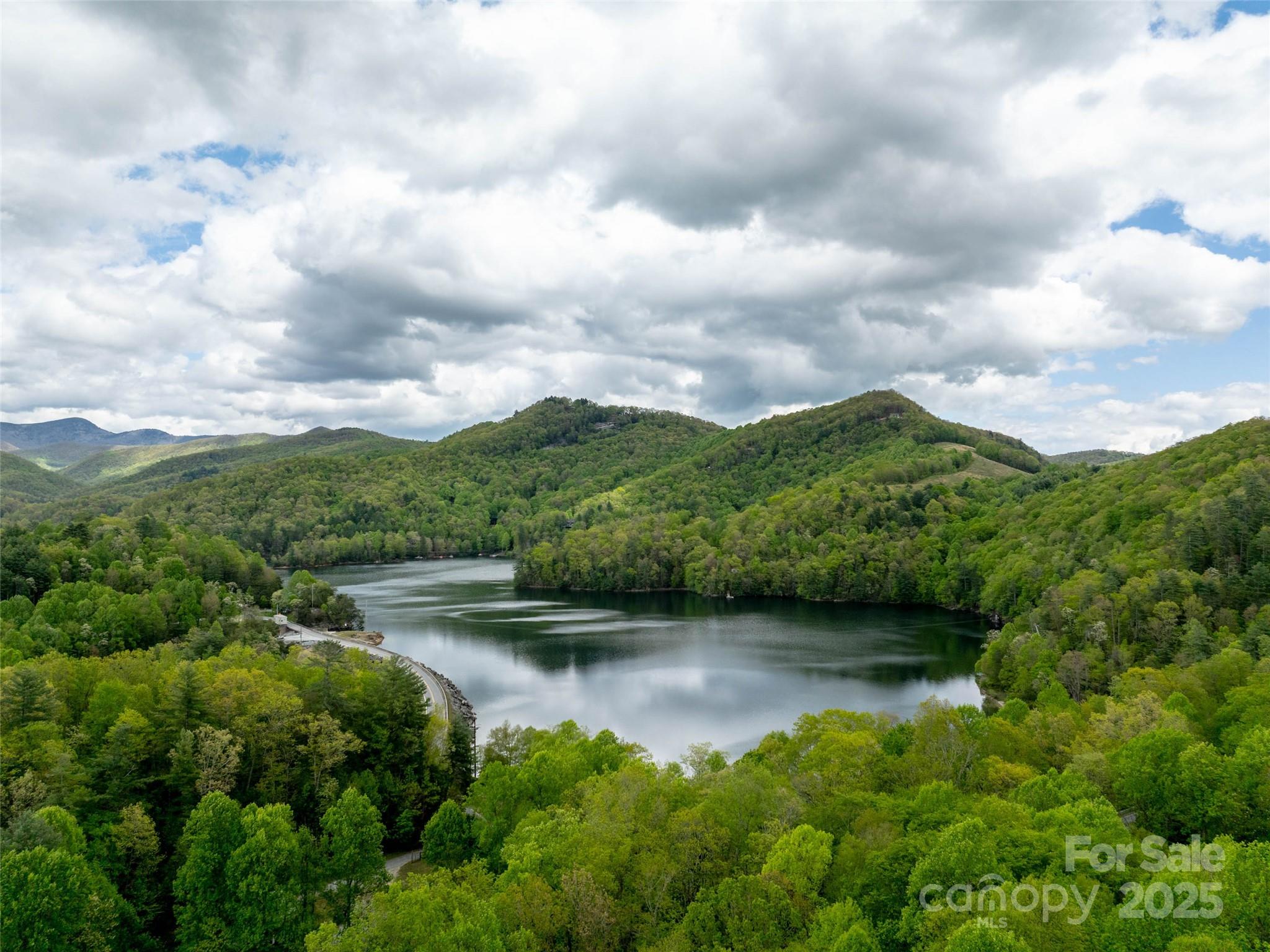 13084 Canada Road Tuckasegee, NC 28783 - Photo 41 of 48 a view of a lake with mountains in the background