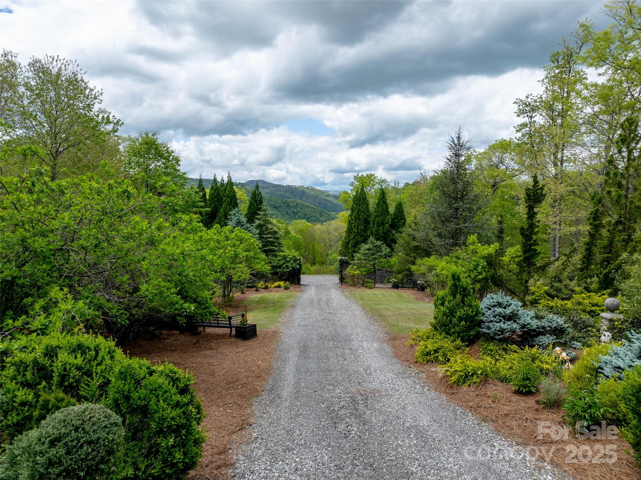 13084 Canada Road Tuckasegee, NC 28783 - Photo 42 of 48 a view of a garden with plants and large trees